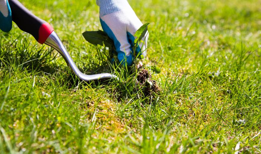 LawnMowPro